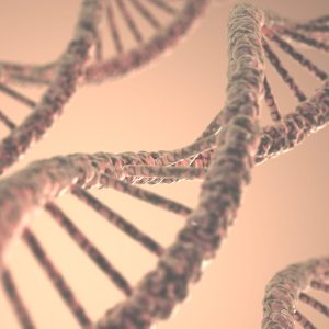Long structure of the DNA double helix in depth of view.